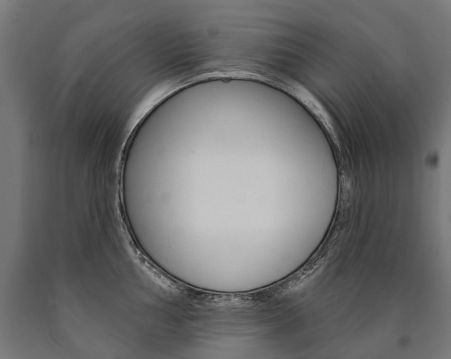 X0000091001002200708021221