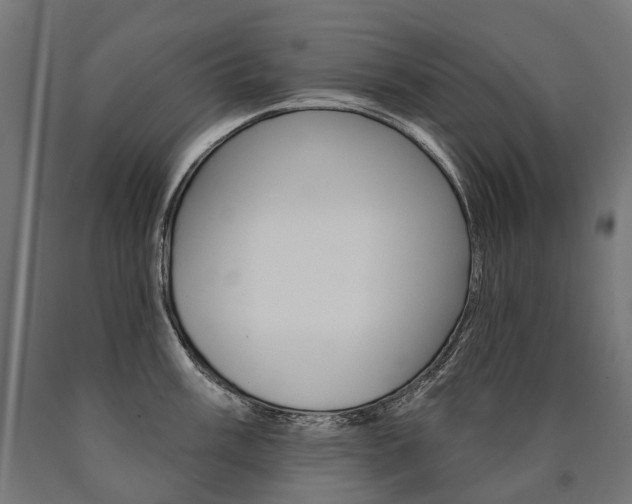 X0000091001003200708021221