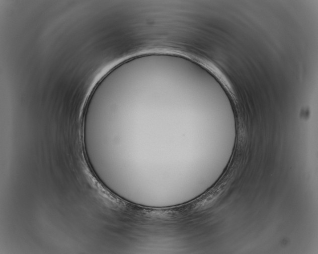 X0000091001004200708021221