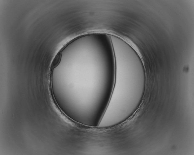 X0000091001005200708021221