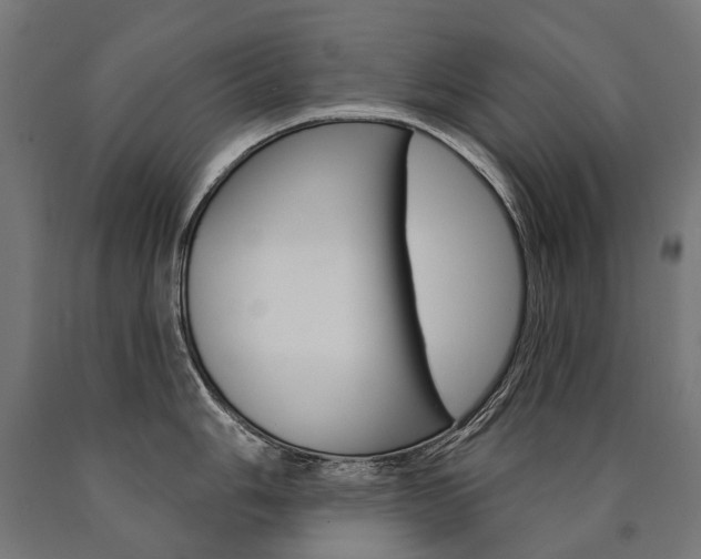 X0000091001006200708021221
