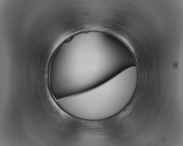 X0000091001007200708021221