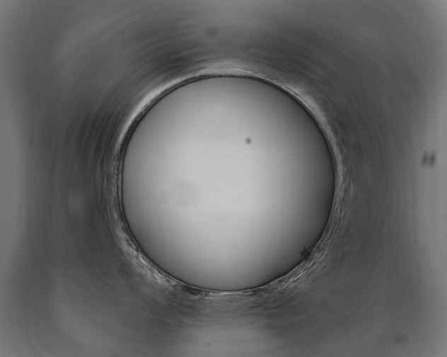 X0000091001008200708021221