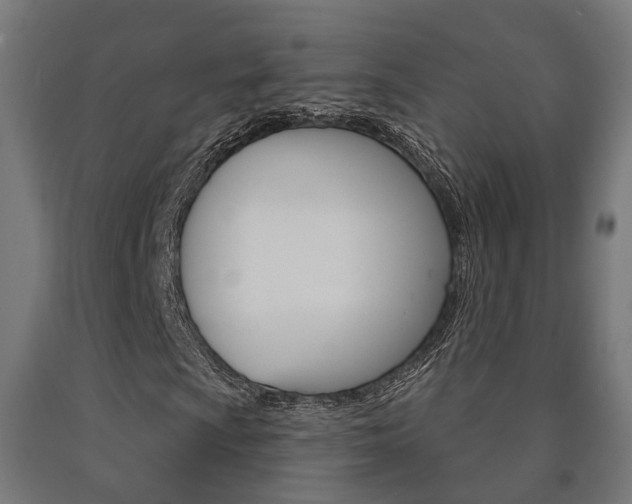 X0000091001009200708021220