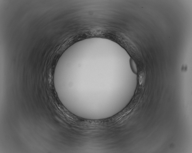 X0000091001011200708021220