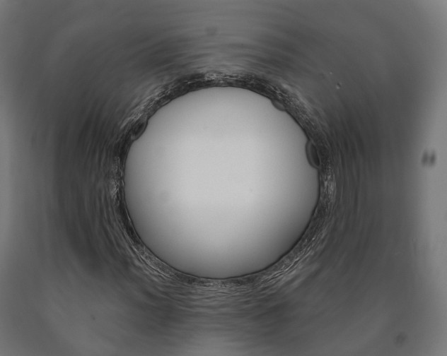 X0000091001012200708021220
