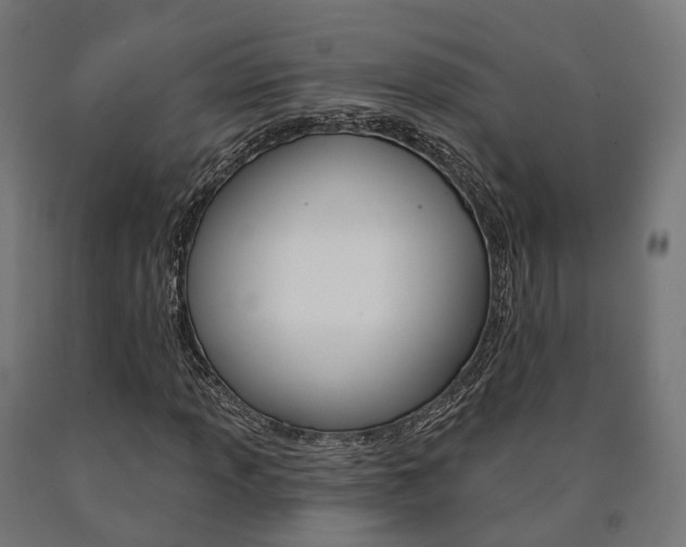 X0000091001013200708021220