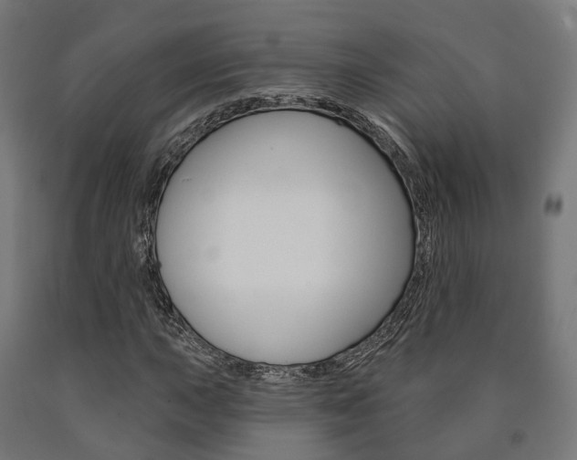 X0000091001015200708021220