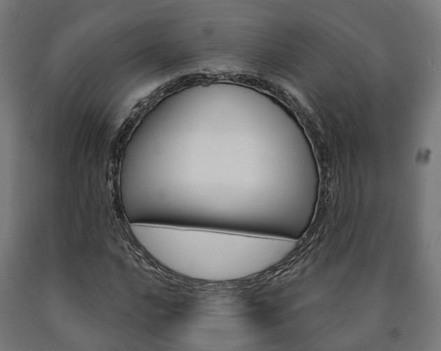 X0000091001016200708021220