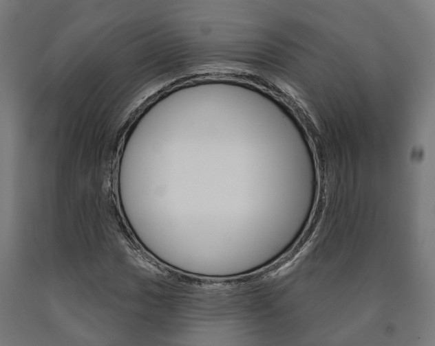 X0000091001017200708021220
