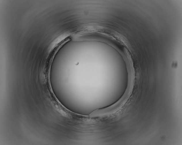 X0000091001018200708021220