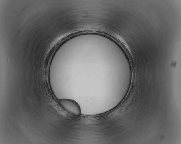 X0000091001019200708021220