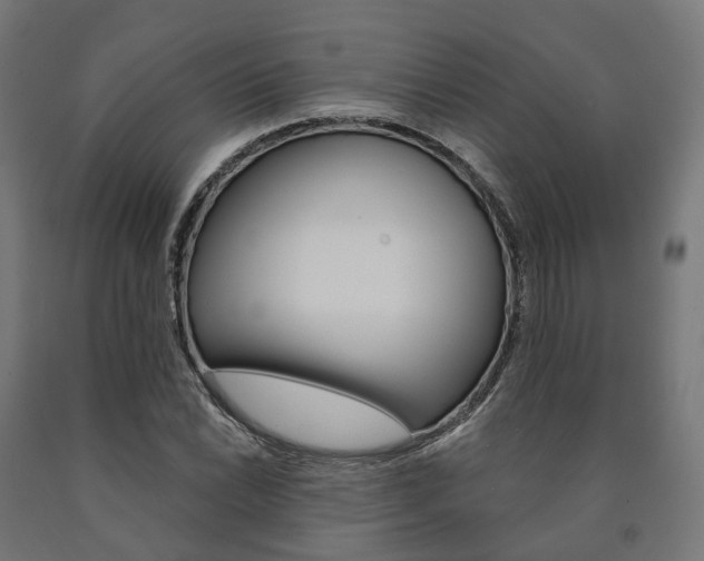X0000091001022200708021220