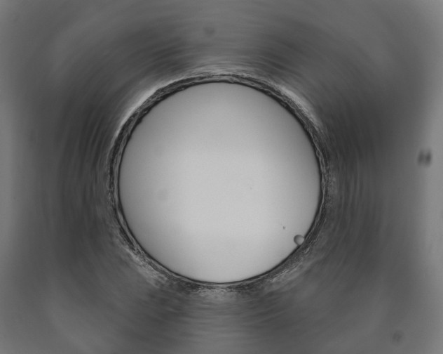 X0000091001023200708021220