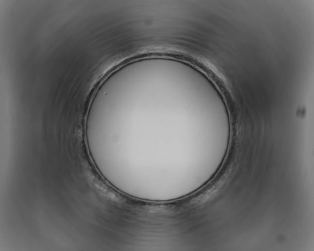 X0000091001025200708021220