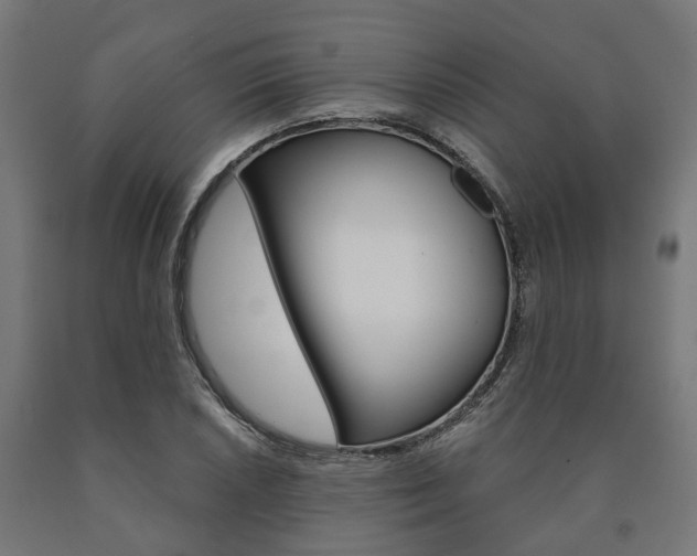 X0000091001026200708021220