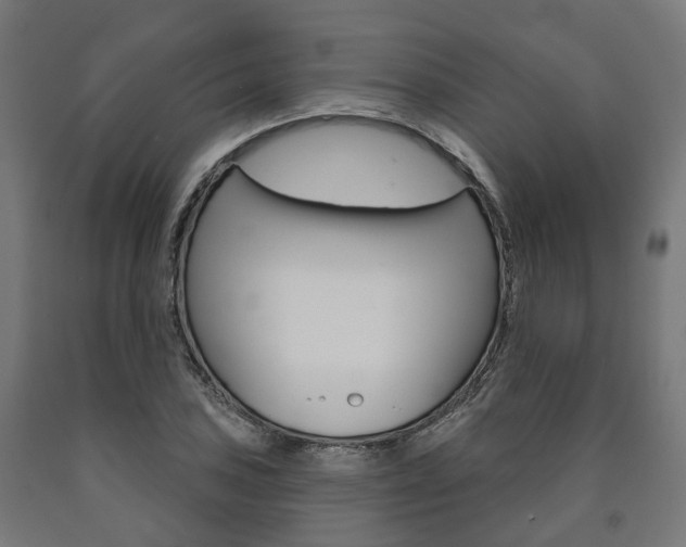 X0000091001027200708021220