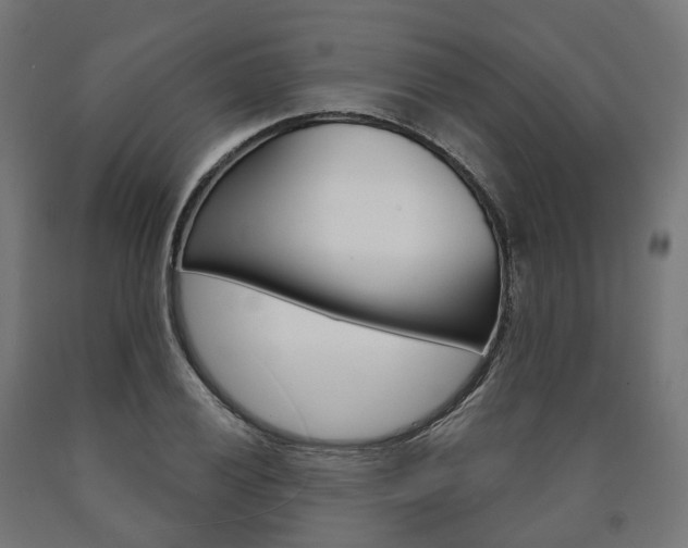 X0000091001028200708021220