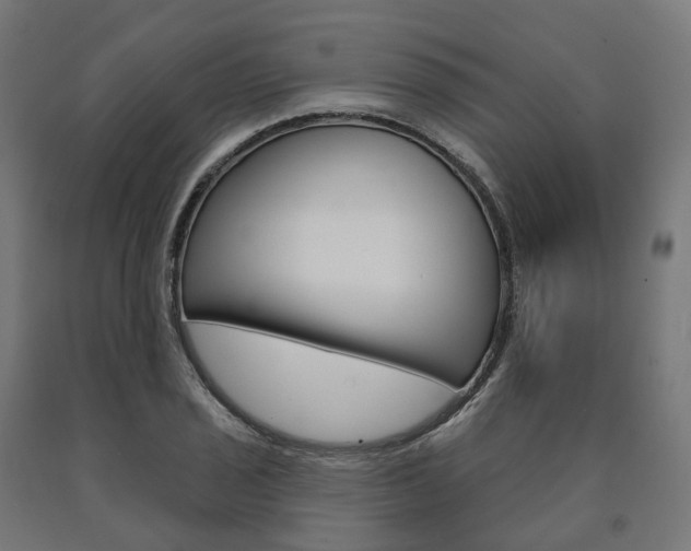 X0000091001029200708021220