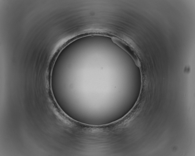 X0000091001030200708021220