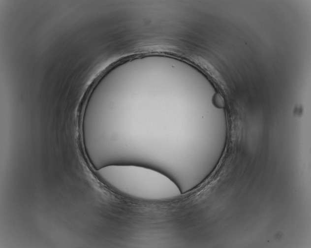 X0000091001031200708021220