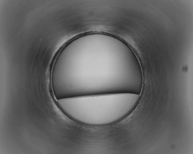 X0000091001032200708021220
