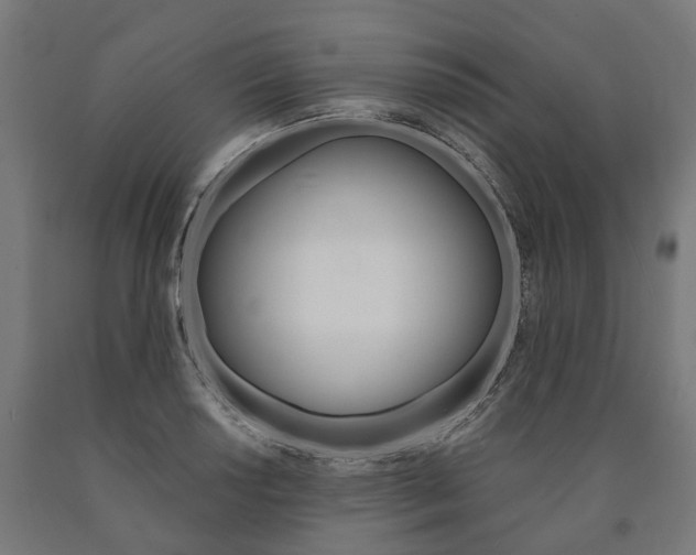 X0000091001034200708021220