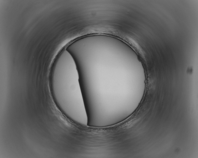 X0000091001035200708021220