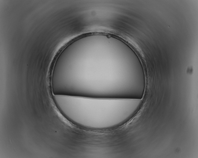 X0000091001037200708021220