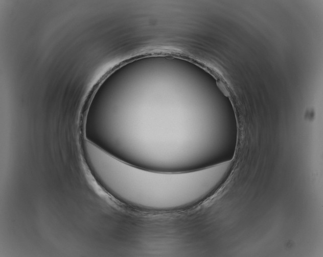 X0000091001038200708021220