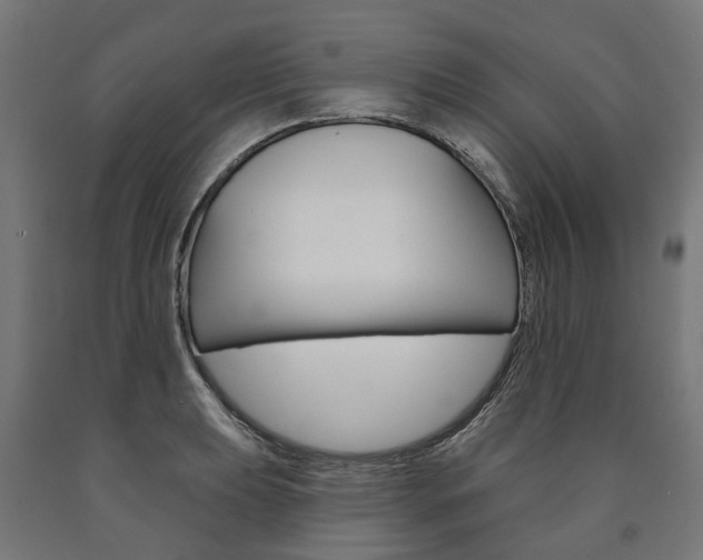 X0000091001039200708021220