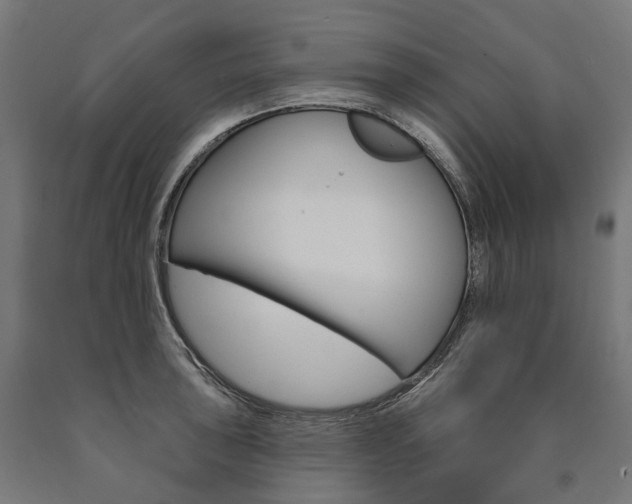 X0000091001043200708021220