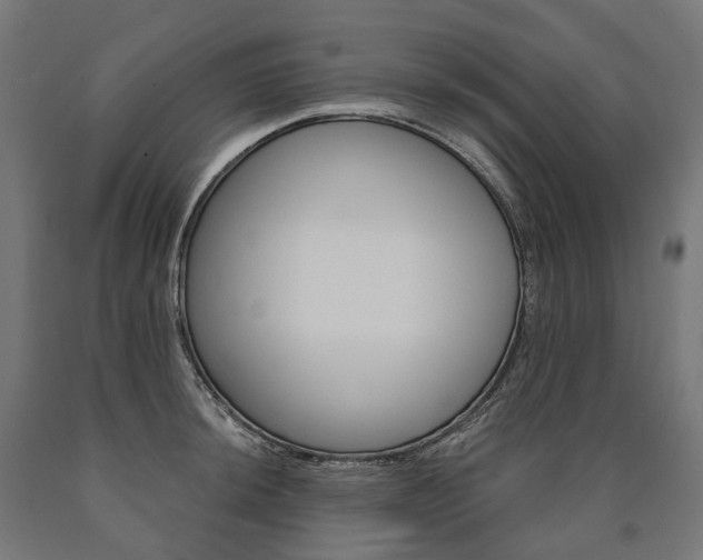 X0000091001044200708021220