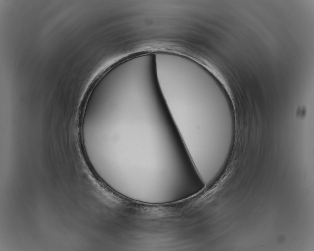 X0000091001045200708021220
