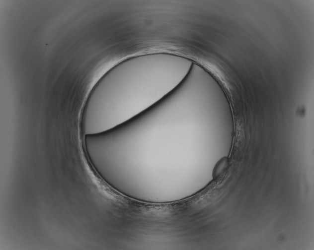 X0000091001047200708021220
