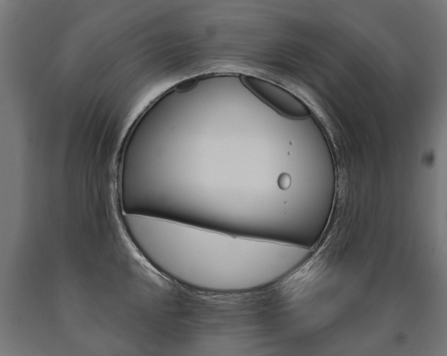 X0000091001048200708021221