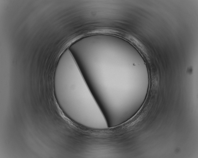 X0000091001049200708021221