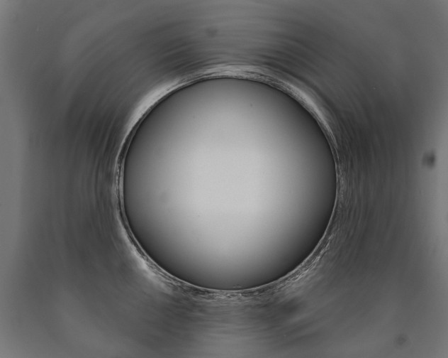 X0000091001050200708021221
