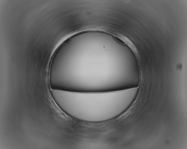 X0000091001052200708021221