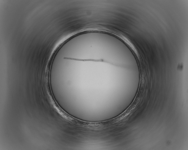 X0000091001053200708021221