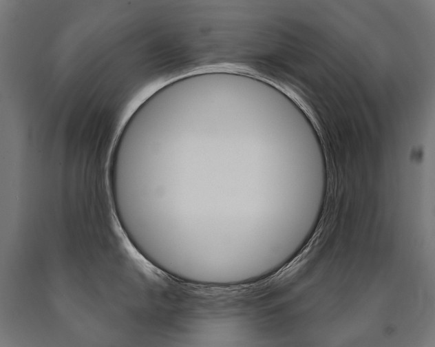 X0000091001054200708021221