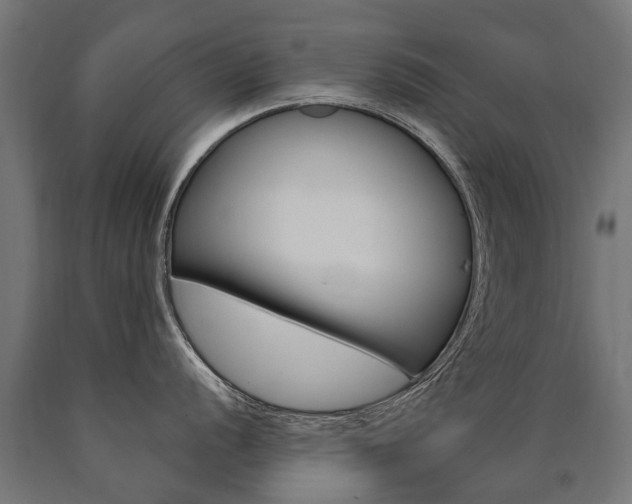 X0000091001056200708021221