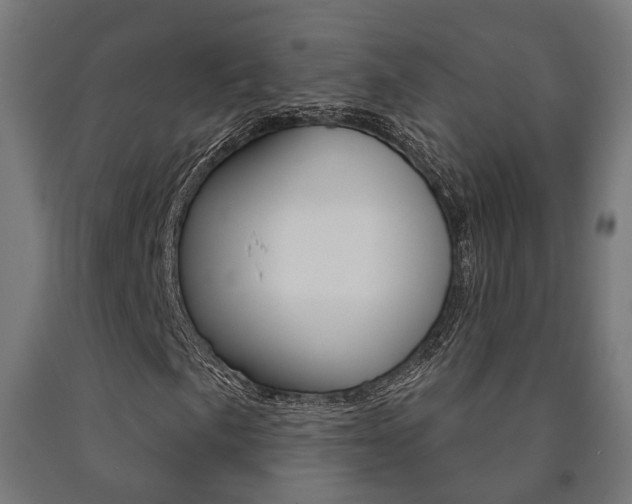 X0000091001057200708021220
