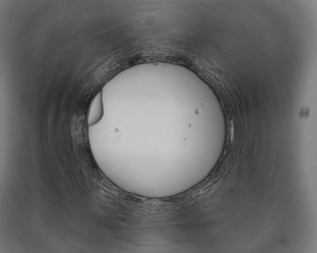X0000091001059200708021220