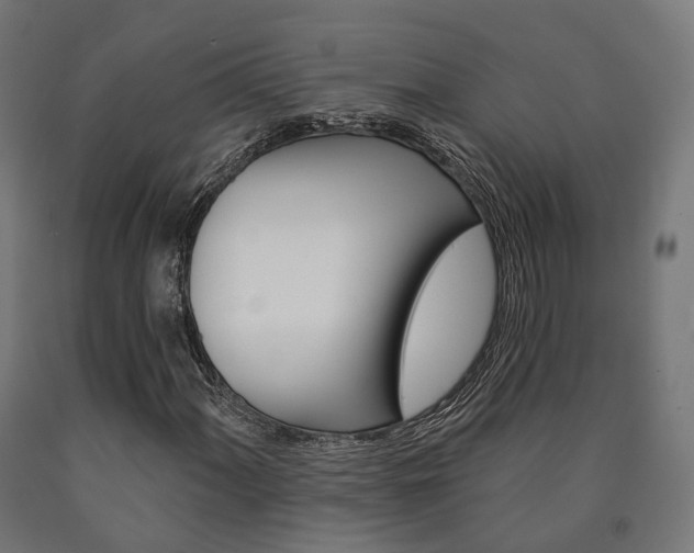 X0000091001060200708021220