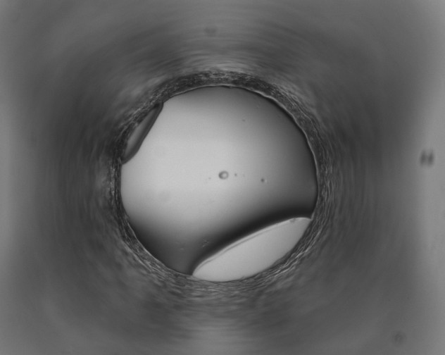 X0000091001061200708021220