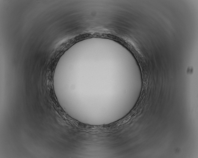 X0000091001063200708021220