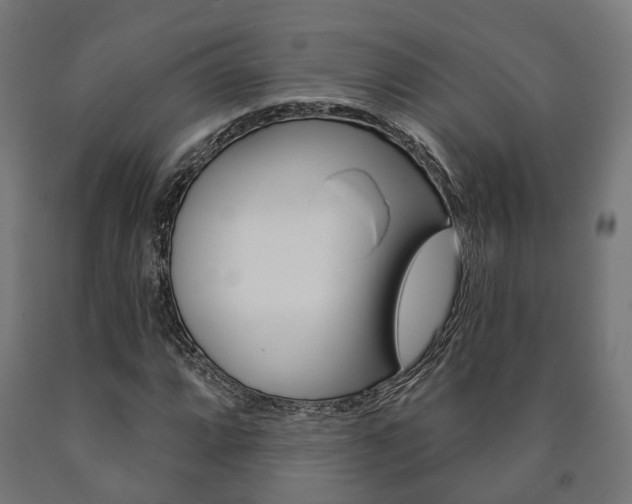 X0000091001064200708021220