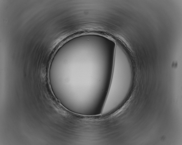 X0000091001065200708021220