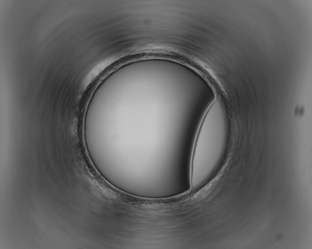 X0000091001066200708021220